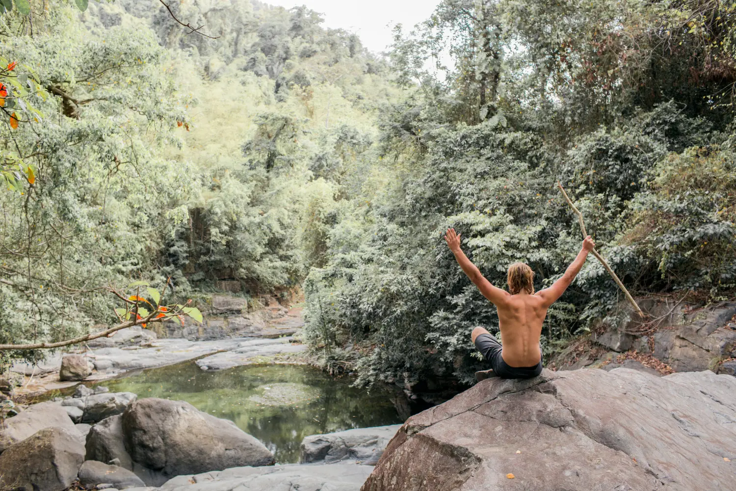Ecoterapia y Baños de Bosque 1